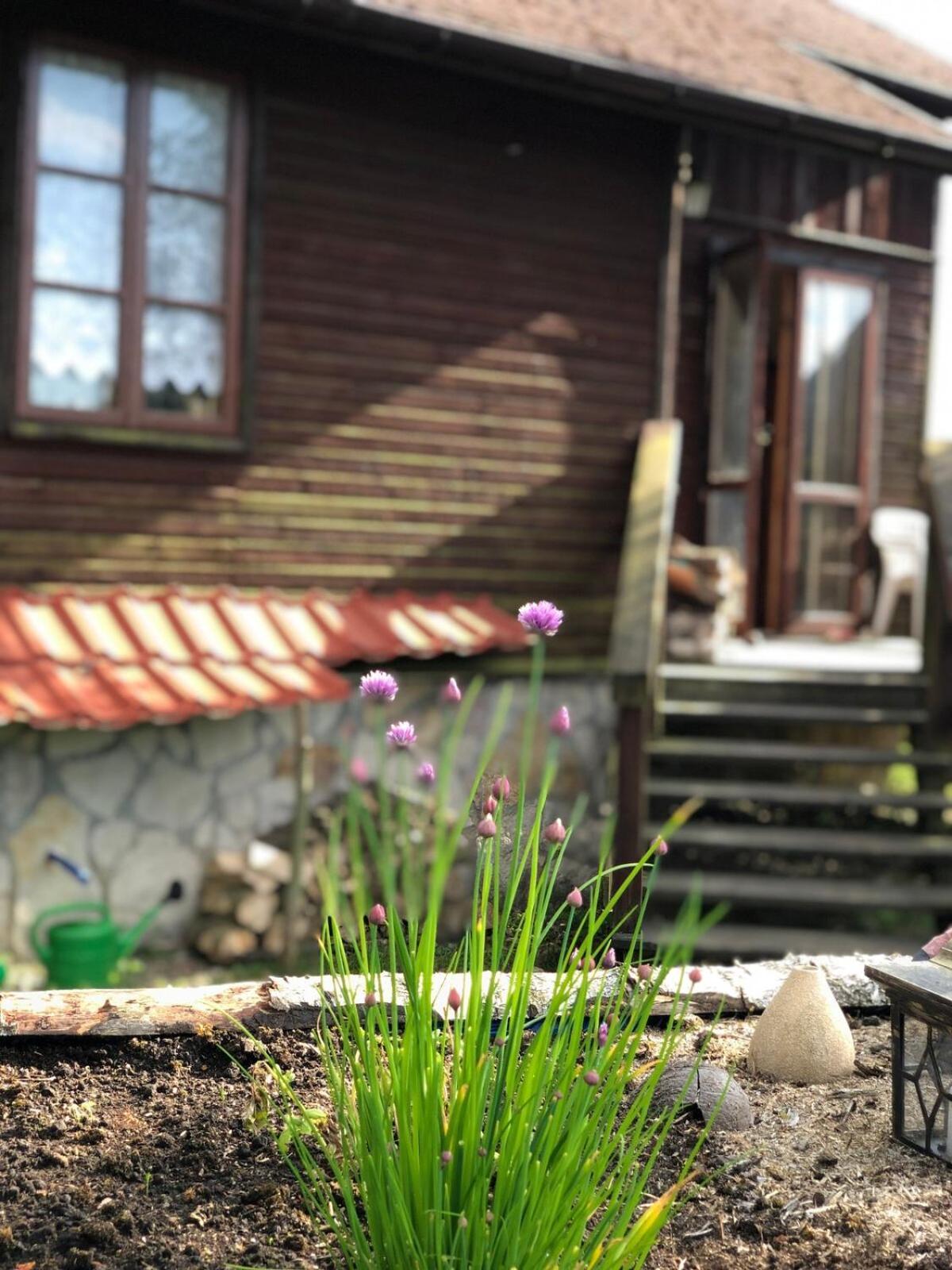 Domki Carmen Wierzchownia Exterior foto